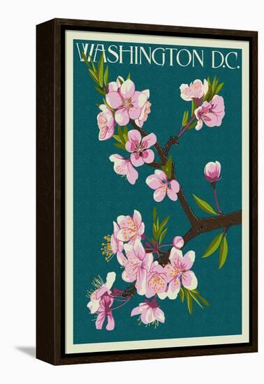 Cherry Blossoms - Washington DC-Lantern Press-Framed Stretched Canvas