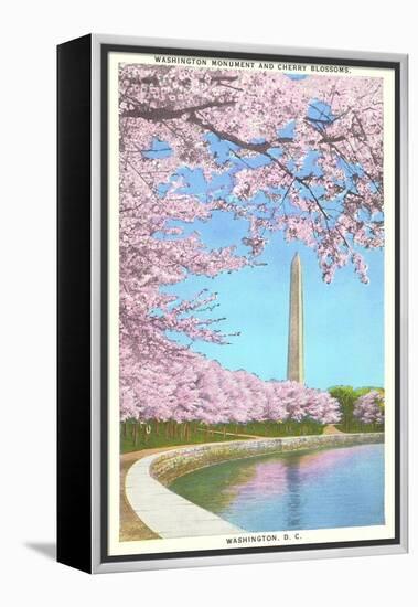 Cherry Blossoms, Washington Monument, Washington D.C.-null-Framed Stretched Canvas