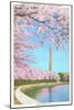 Cherry Blossoms, Washington Monument, Washington D.C.-null-Mounted Art Print