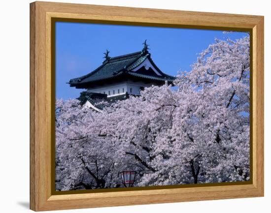 Cherry Blossoms-null-Framed Premier Image Canvas