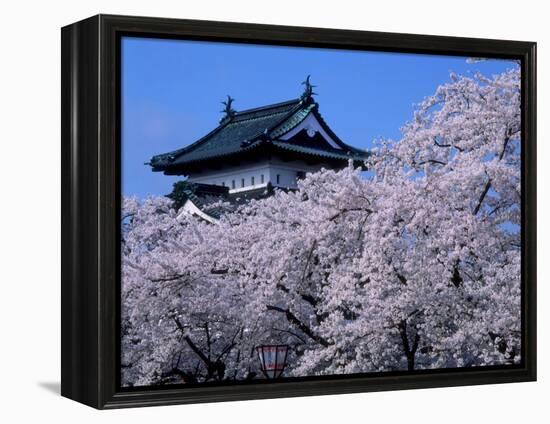 Cherry Blossoms-null-Framed Premier Image Canvas