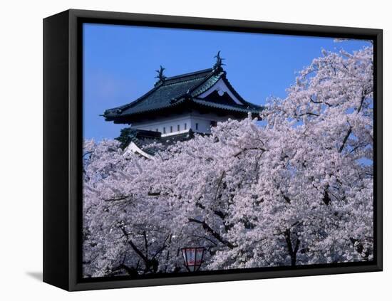 Cherry Blossoms-null-Framed Premier Image Canvas