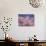 Cherry Blossoms-null-Photographic Print displayed on a wall