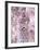 Cherry Blossoms-null-Framed Photographic Print