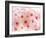 Cherry Blossoms-null-Framed Photographic Print