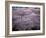 Cherry Blossoms-null-Framed Photographic Print