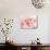 Cherry Blossoms-null-Photographic Print displayed on a wall