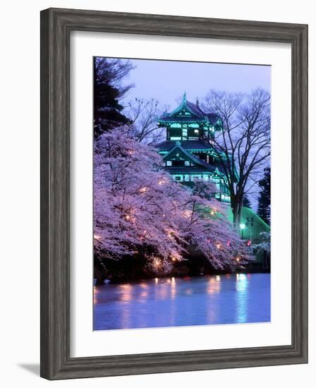 Cherry Blossoms-null-Framed Photographic Print