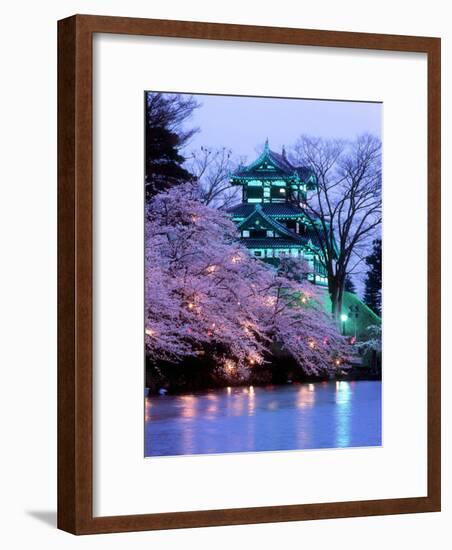 Cherry Blossoms-null-Framed Photographic Print