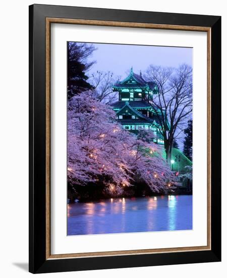 Cherry Blossoms--Framed Photographic Print