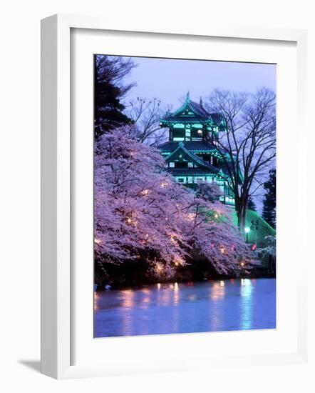 Cherry Blossoms-null-Framed Photographic Print