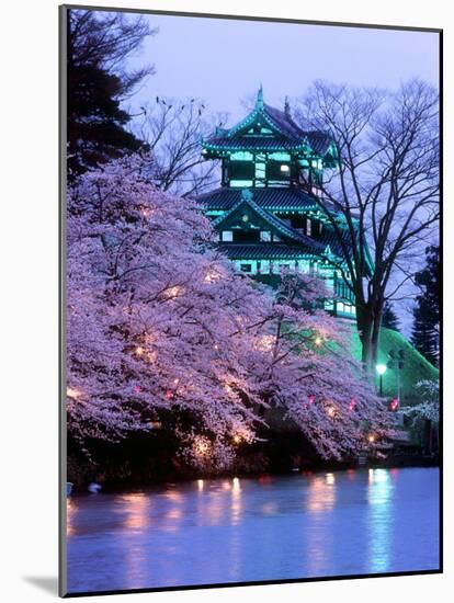 Cherry Blossoms-null-Mounted Photographic Print