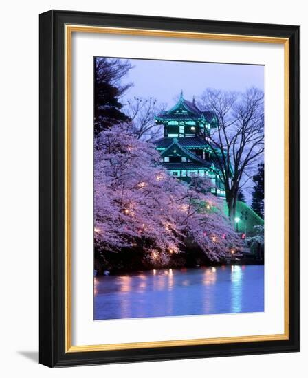 Cherry Blossoms-null-Framed Photographic Print