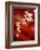 Cherry Blossoms-null-Framed Photographic Print