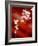 Cherry Blossoms-null-Framed Photographic Print