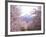 Cherry Blossoms-null-Framed Photographic Print