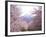 Cherry Blossoms-null-Framed Photographic Print