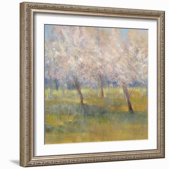 Cherry Blossoms-Simon Addyman-Framed Art Print