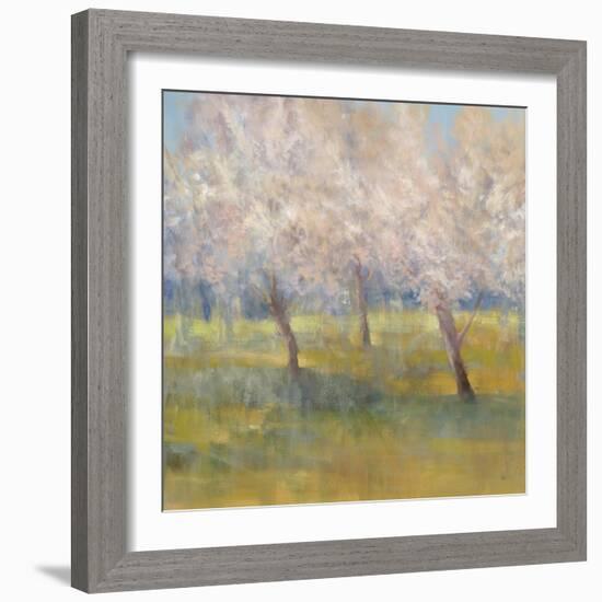 Cherry Blossoms-Simon Addyman-Framed Art Print