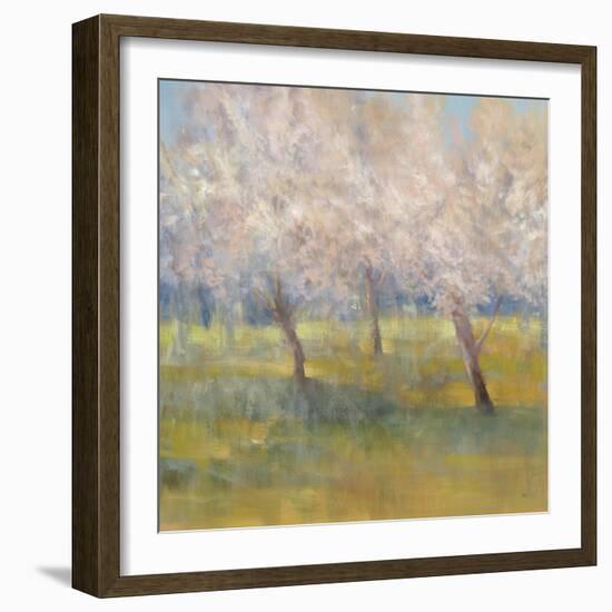 Cherry Blossoms-Simon Addyman-Framed Art Print