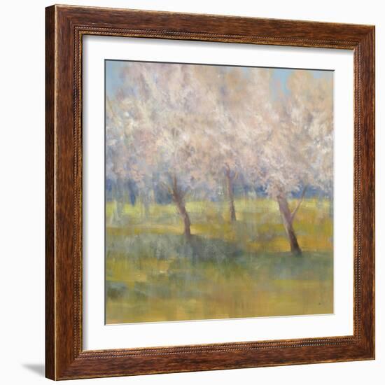 Cherry Blossoms-Simon Addyman-Framed Art Print