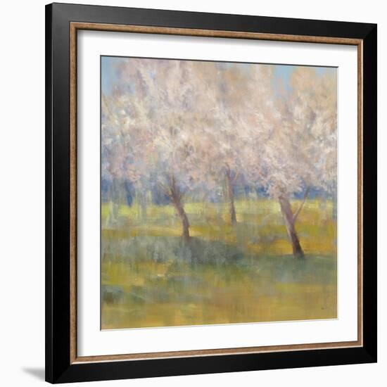 Cherry Blossoms-Simon Addyman-Framed Art Print