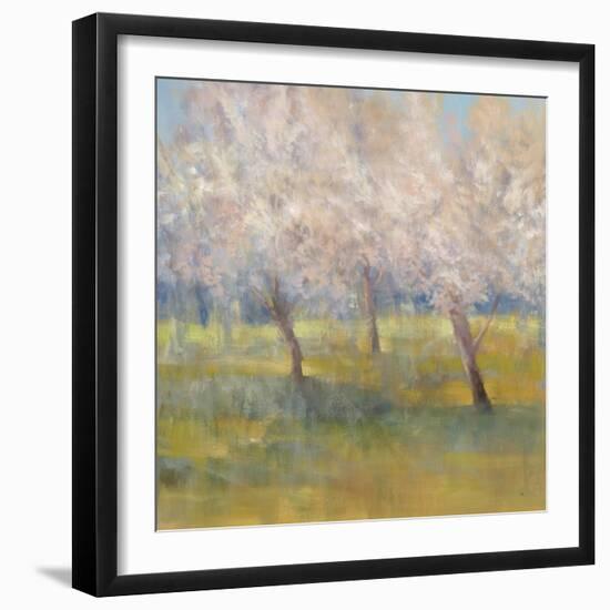 Cherry Blossoms-Simon Addyman-Framed Art Print