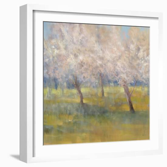 Cherry Blossoms-Simon Addyman-Framed Art Print