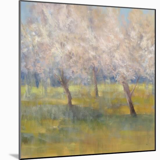 Cherry Blossoms-Simon Addyman-Mounted Art Print