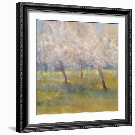 Cherry Blossoms-Simon Addyman-Framed Art Print