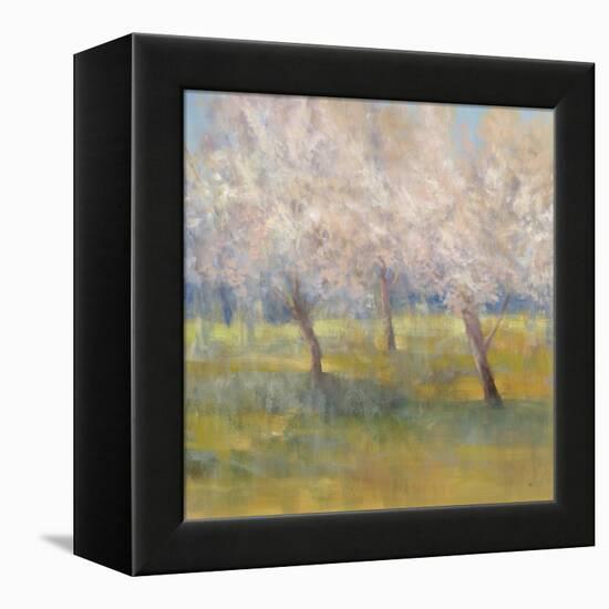 Cherry Blossoms-Simon Addyman-Framed Stretched Canvas