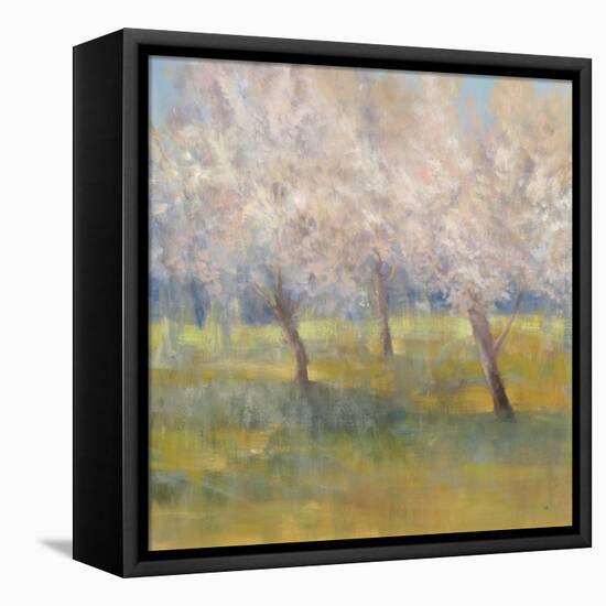 Cherry Blossoms-Simon Addyman-Framed Stretched Canvas