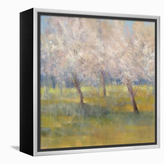 Cherry Blossoms-Simon Addyman-Framed Stretched Canvas