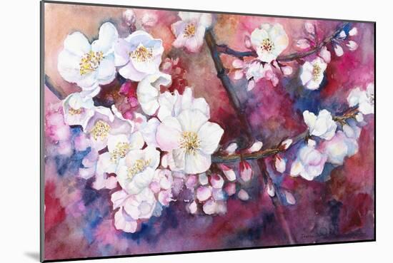 Cherry Blossoms-Joanne Porter-Mounted Giclee Print