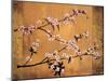 Cherry Blossoms-Erin Lange-Mounted Art Print