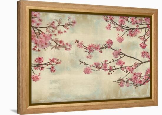 Cherry Blossoms-John Seba-Framed Stretched Canvas