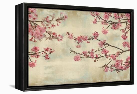 Cherry Blossoms-John Seba-Framed Stretched Canvas