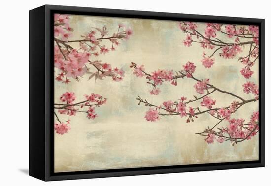 Cherry Blossoms-John Seba-Framed Stretched Canvas