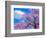 Cherry blossoms-Marco Carmassi-Framed Photographic Print