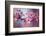 Cherry Blossums 1-Philippe Sainte-Laudy-Framed Photographic Print