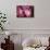 Cherry Blossums 4-Philippe Sainte-Laudy-Photographic Print displayed on a wall
