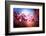 Cherry Blossums 6-Philippe Sainte-Laudy-Framed Photographic Print