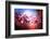 Cherry Blossums 6-Philippe Sainte-Laudy-Framed Photographic Print