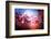 Cherry Blossums 6-Philippe Sainte-Laudy-Framed Photographic Print