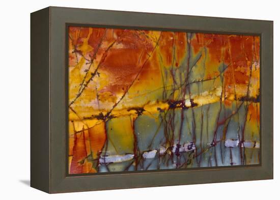 Cherry Creek Jasper-Darrell Gulin-Framed Premier Image Canvas