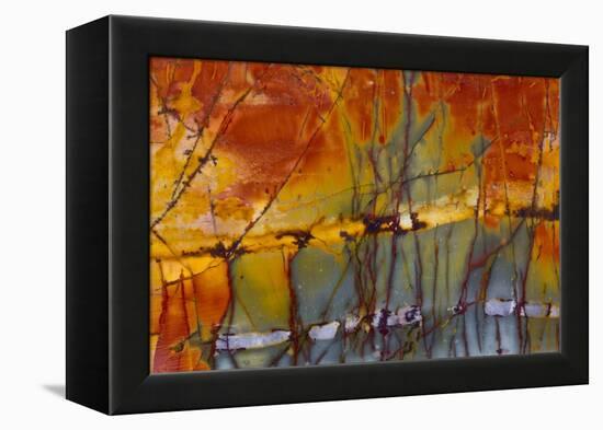 Cherry Creek Jasper-Darrell Gulin-Framed Premier Image Canvas