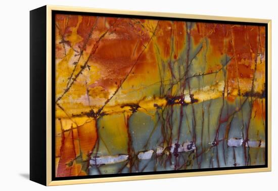 Cherry Creek Jasper-Darrell Gulin-Framed Premier Image Canvas