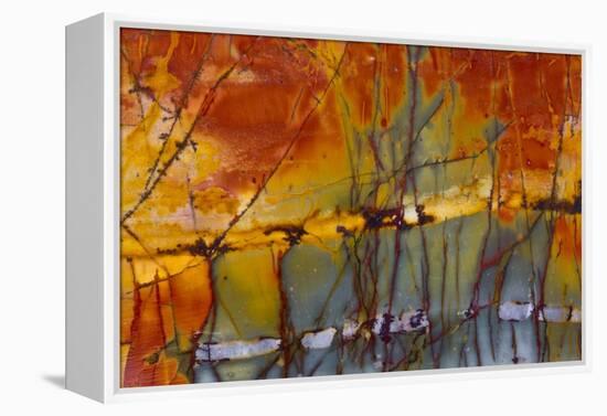 Cherry Creek Jasper-Darrell Gulin-Framed Premier Image Canvas