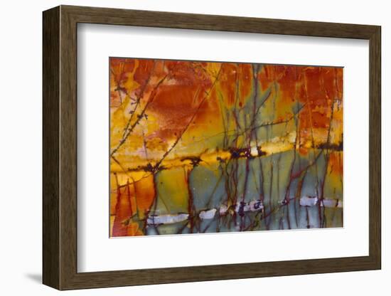 Cherry Creek Jasper-Darrell Gulin-Framed Photographic Print