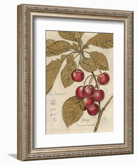 Cherry Etching-Chad Barrett-Framed Art Print